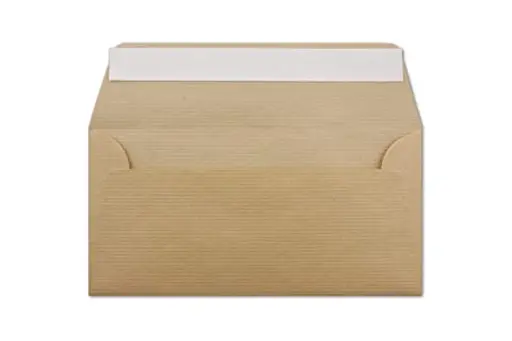 [PA004] Boîte de 250 enveloppes kraft sans fenêtre